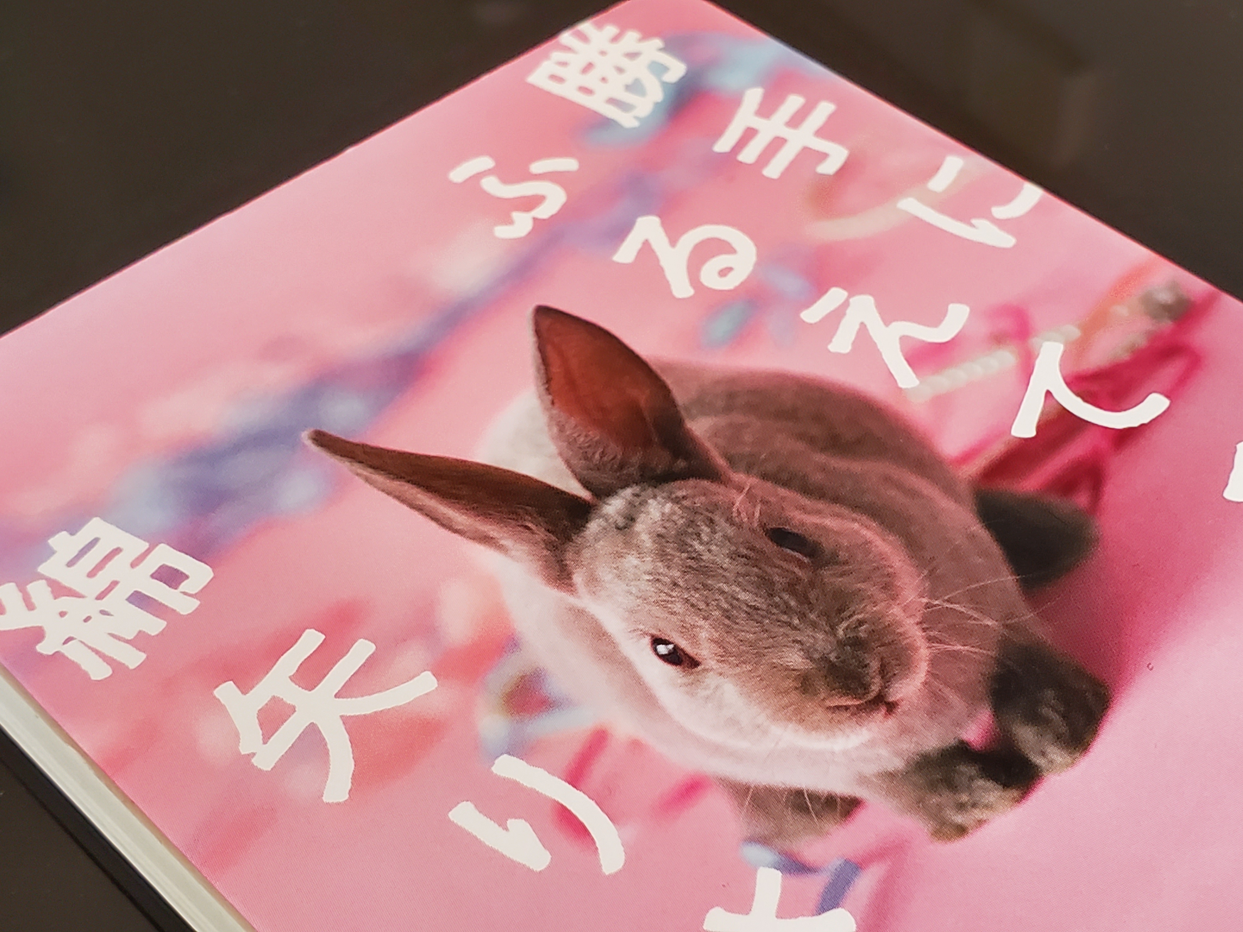 又吉直樹の芥川賞受賞作 火花 のあらすじや感想を紹介 Bookforever